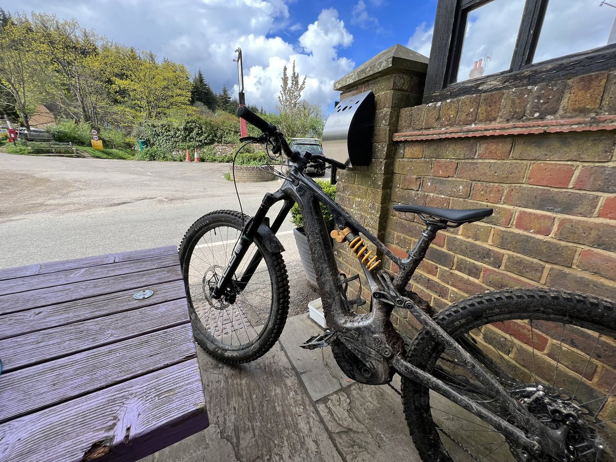 Jamie + Lion tweet media