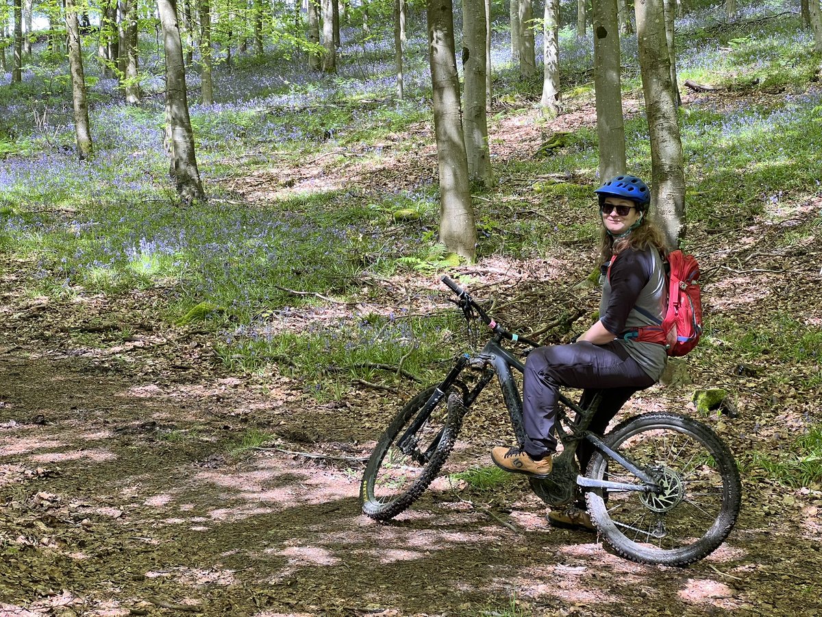 Jamie + Lion tweet media