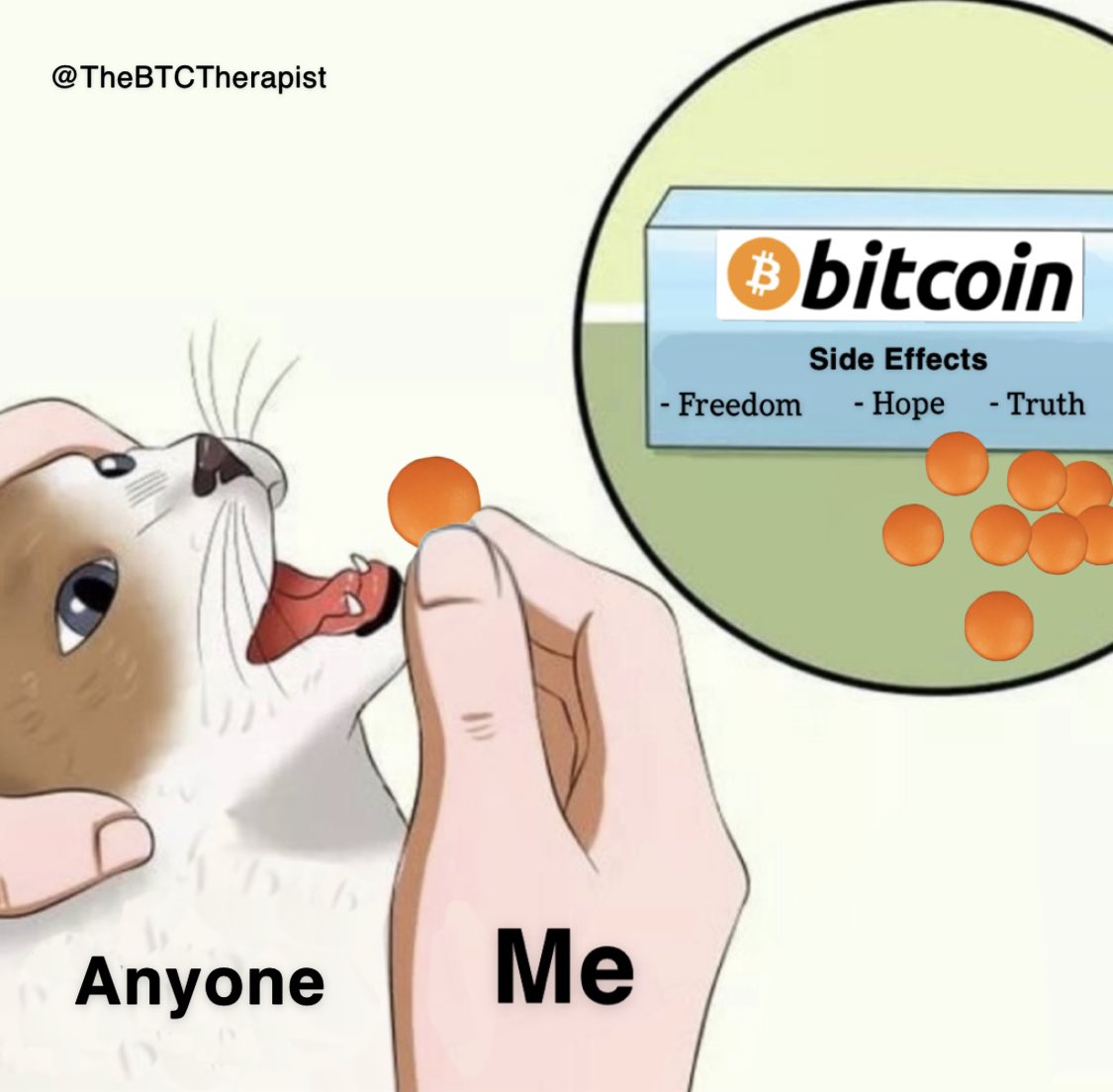 The ₿itcoin Therapist tweet media