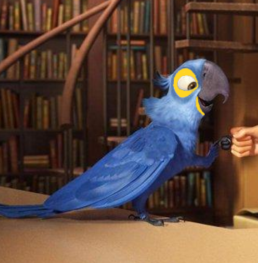 @CryptidPigeonn Felt the same too. Did these edits ages ago and it fits nicely. In hindsight it would be funny seeing Jewel beating Nigel to death due to how Hyacinth macaws are they are.
