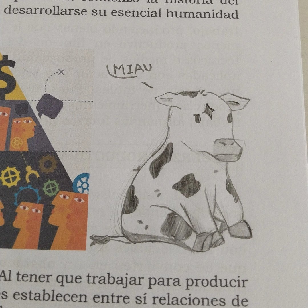 kdeintegilente's tweet photo. Yo toda arrepentida el día antes del examen por no haber atendido a ni una sola clase de filosofía,
Las clases de filosofía en cuestión: https://t.co/tl4aajLfqo