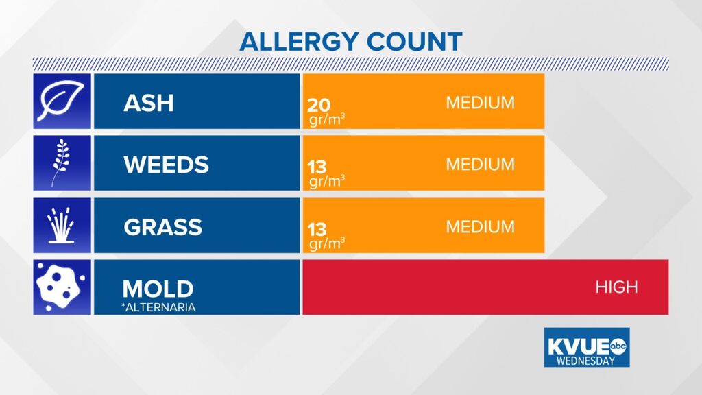 Austin Allergies tweet media