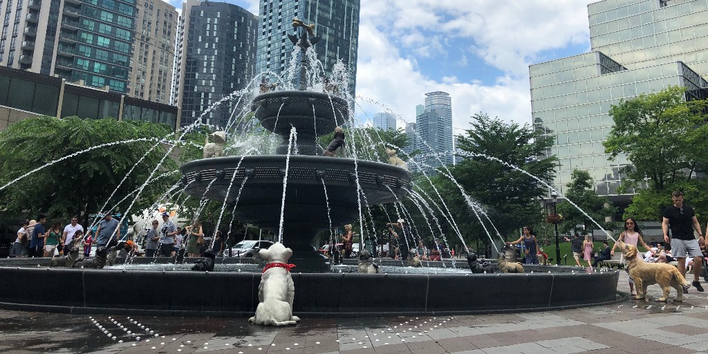 DowntownYonge's tweet photo. Another beautiful day for a walk to explore the neighbourhood 💜
Check out the City's #StrollTO program and (re)discover places you’ve passed hundreds of times in the Yonge & Church St corridors: https://t.co/4pMbvwRkXv
#YongeLove https://t.co/ed58YgjrPD