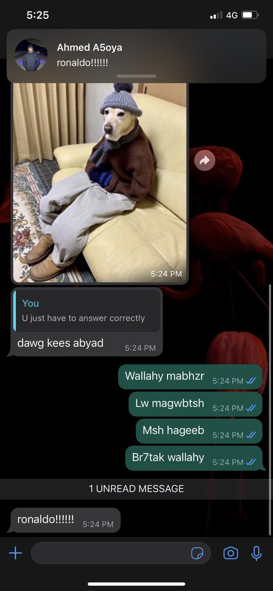 ZackBigMac2's tweet photo. My brother is the most shameless messi fan 😭😭😭 https://t.co/2sVCIBcgAb