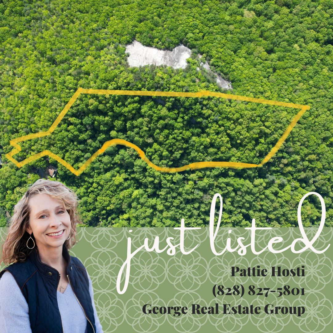 GregSellsMore's tweet photo. 🌄 #Locals will recognize #TaterKnob which this #JustListed 9.54 acres for sale adjoins #forest  #mountainviews 🏞️ Don't miss this rare opportunity! #DreamHomeLocation #LiveHere #VisitHendersonvilleNC #VisitHendersonville 🌳🏞️ For More Information:
https://t.co/iNWNgPVCTa https://t.co/RWnOxEs7lO