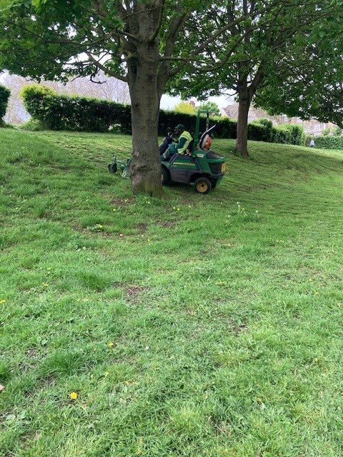 Oh dear, @BrentCouncil is it really necessary to mow in May? You've just chopped down the many dandelions that were flowering in King Edward VII park. Next time, can you just cut the edges and leave the rest to grow, please? #NoMowMay
@JumboChan