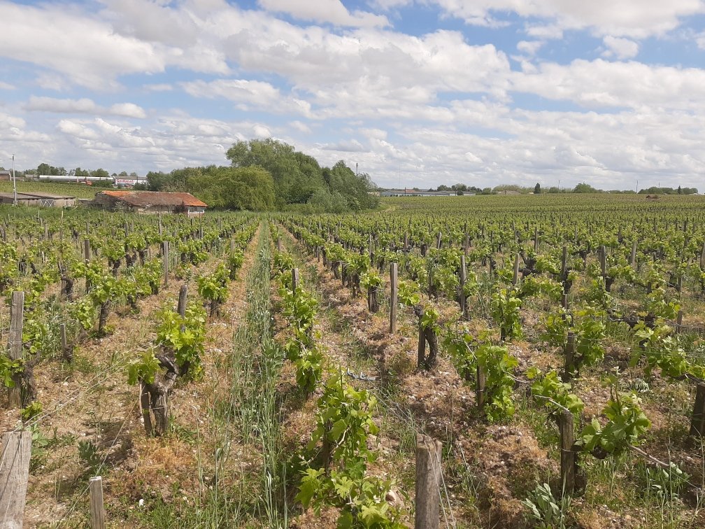 AnMerot's tweet photo. C'est parti pour les premiers suivis ! #Agroecologie @Vitae_Project 
Occitane, Provence, Bordelais pour commencer. La semaine prochaine Loire, avant Bourgogne et Champagne. Un petit tour de France ! https://t.co/qoIzGOStRM