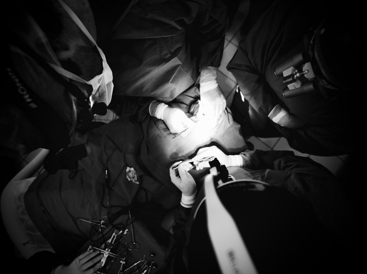 TessUnlimited's tweet photo. Day 3 of our #surgeryweek just started!
#tessunlimited https://t.co/9KiVdWbk2G