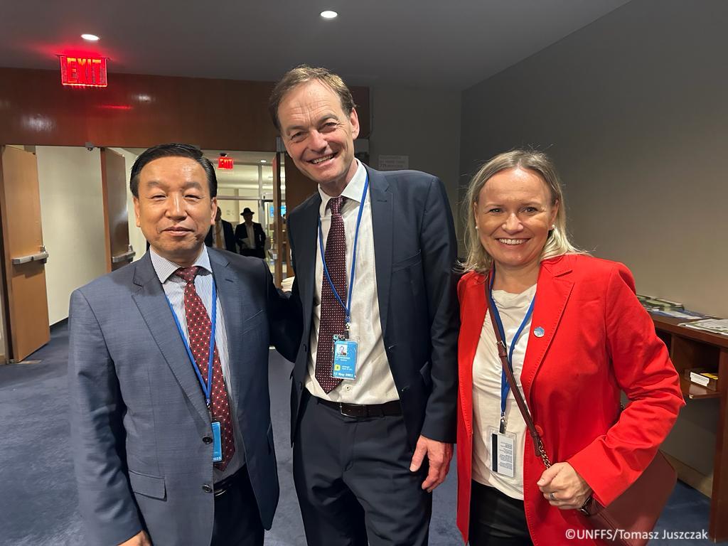 FAOForestry's tweet photo. .@FAO is at #UNFF18 this week discussing the implementation and progress of the UN Strategic Plan for Forests 2017-2030.
Find out more 👉 https://t.co/mUkT74x4Wg
#CPForests #UNForests #UNSPF
@FAONewYork https://t.co/xa0Ku4EOAY