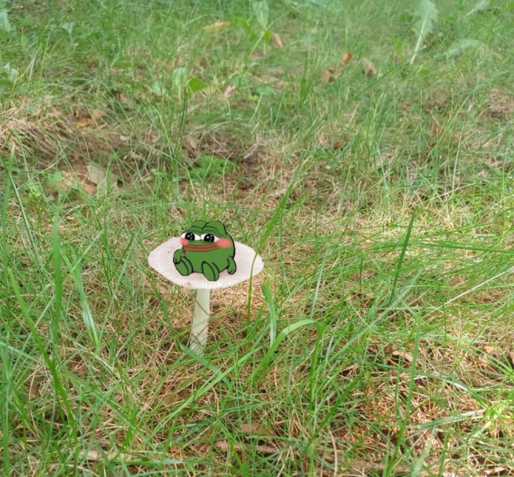 Forest On Twitter Twitter Legit Is The Most Fun App Ever Man I Love U forest-on-twitter-twitter-legit-is-the-most-fun-app-ever-man-i-love-u