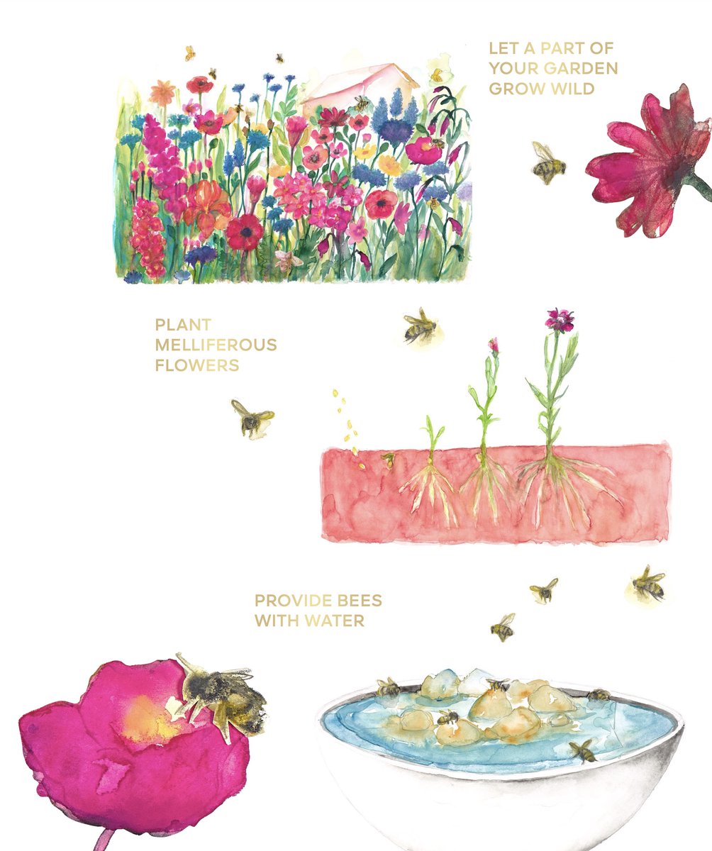 davelackie's tweet photo. Did you know that Sunday, May 20th is World Bee Day. Here are three simple ways you can help save the bees in your own garden.  Thanks to our friends at Guerlain for sharing these tips. https://t.co/vrEdG96Rxt