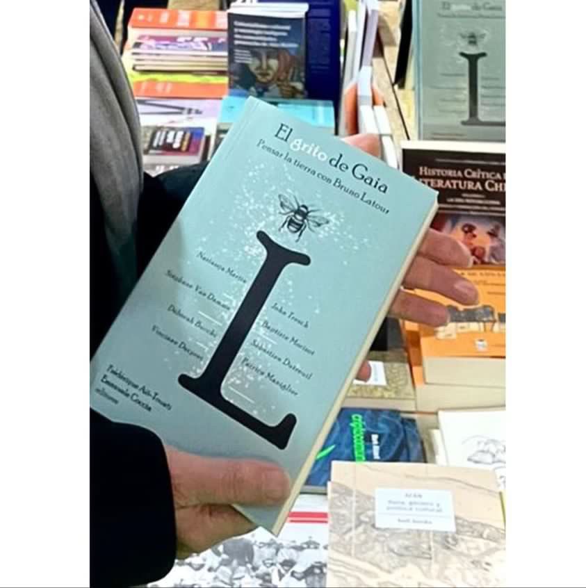 Todolibro espolítico tweet media