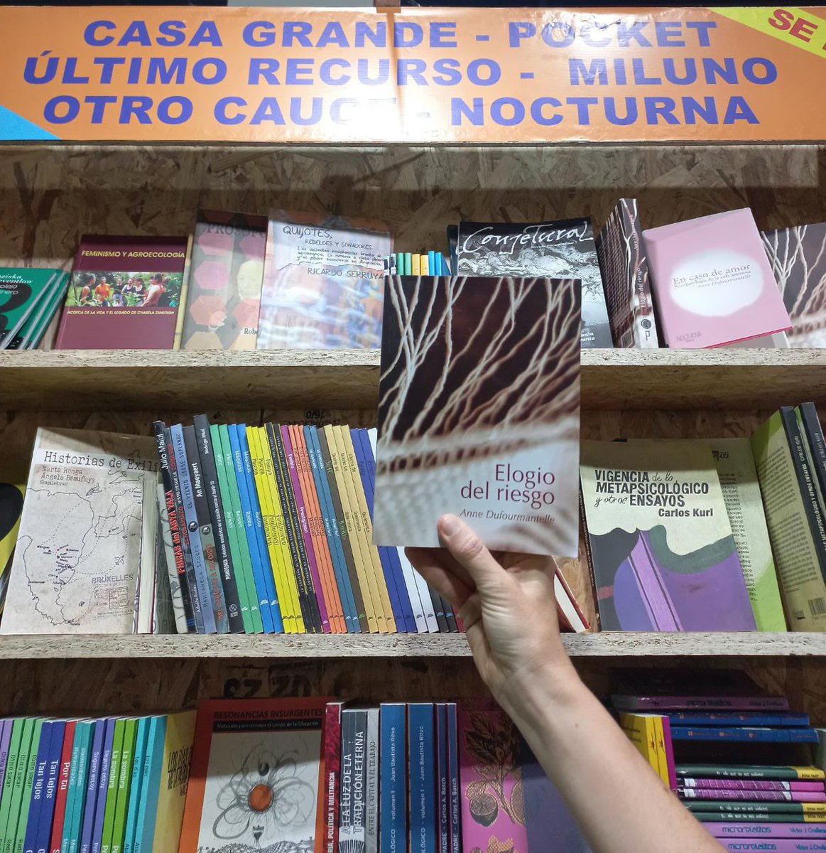 Todolibro espolítico tweet media