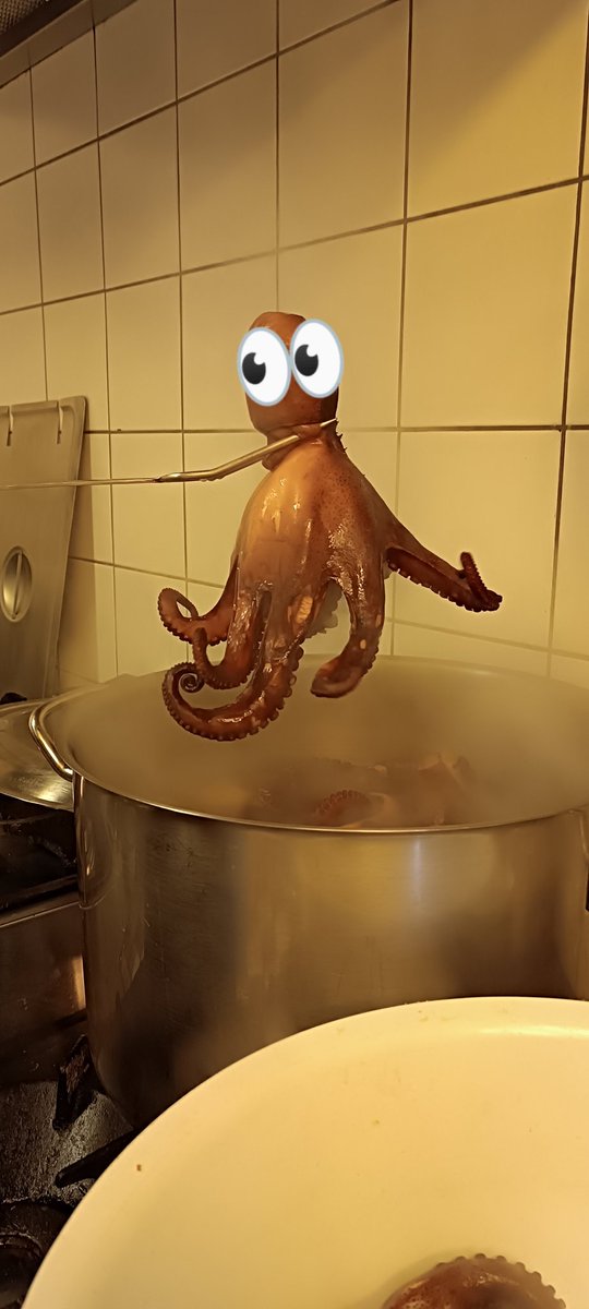 InsomniaDzeni's tweet photo. Danas u ponudi...  
Ne znam kako ću Sunđer Bobu i Patriku na oči https://t.co/yHbIaokBgk