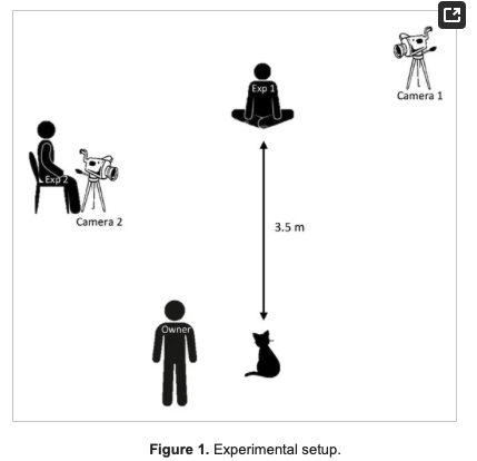 ShawnFremstad's tweet image. "This study addresses whether ... cats are sensitive to the communication channel used by their human interlocutor. We examined three types of interactions—vocal, visual, and bimodal—by coding video clips of 12 cats living in cat cafés." #CatScience mdpi.com/2076-2615/13/9…