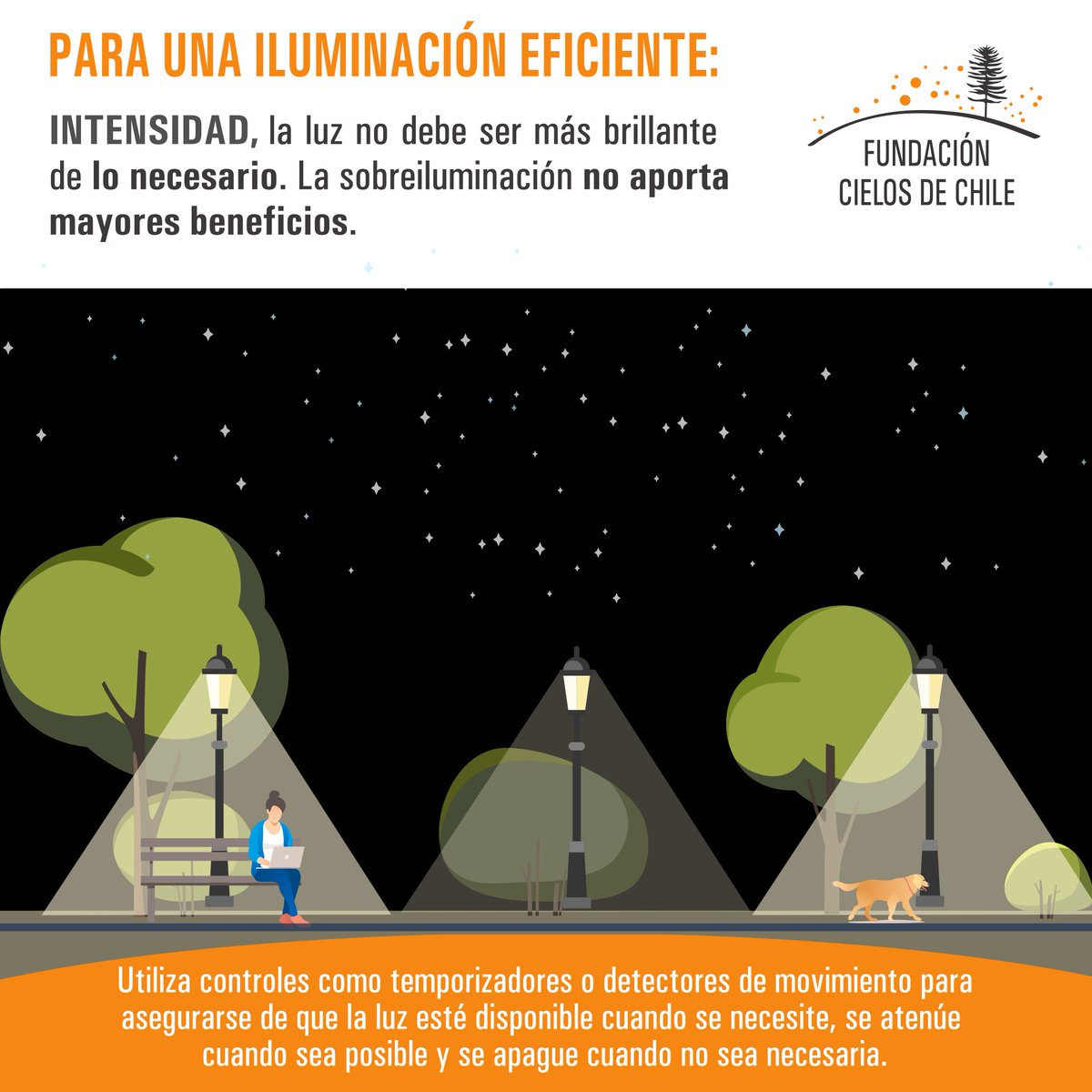 Seguimos compartiendo las buenas formas del uso de la luz:
2️⃣ La intensidad
💡 Durante la noche necesitamos la ayuda de la luz para nuestras labores, pero sólo cuando la necesitamos evitando la sobre iluminación, pues todo el resto se convierte en pérdida.
#cielososcuros