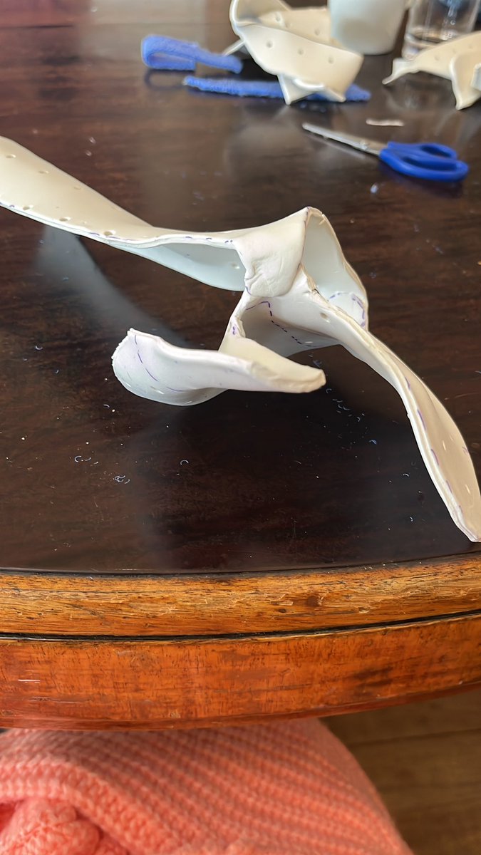 Alex Bowsher tweet media