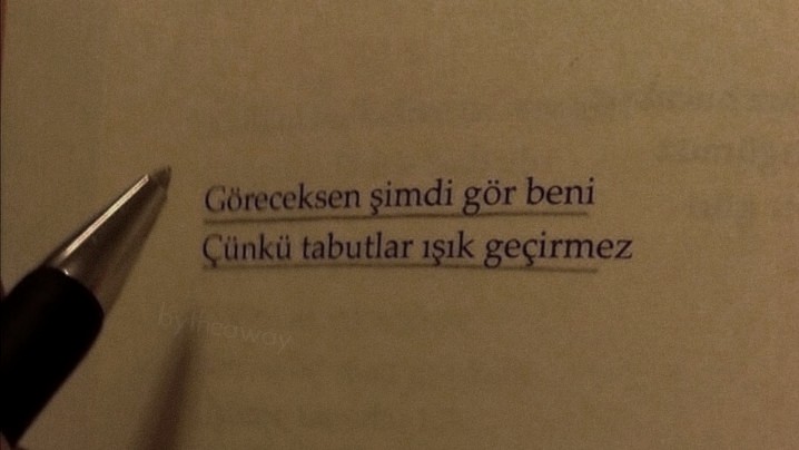 durduk yerde tökezliyor içimde bir çocuk.