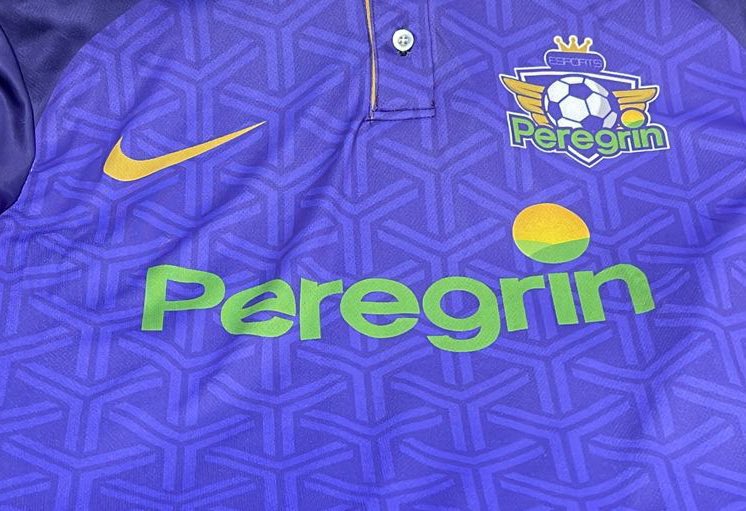 Peregrín eSports tweet media