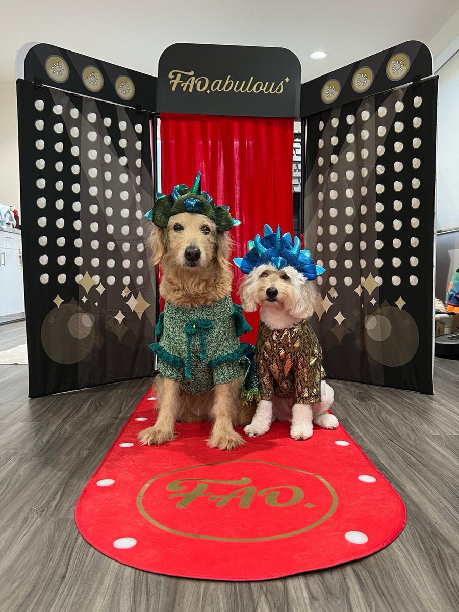 When these paw-some puppies hit the FAO runway 🐶❤📸✨ 📸: @kaia_the_goldendoodle (IG) #FAOSchwarz #FAOabulous #dogsoftwitter #dog #dogs