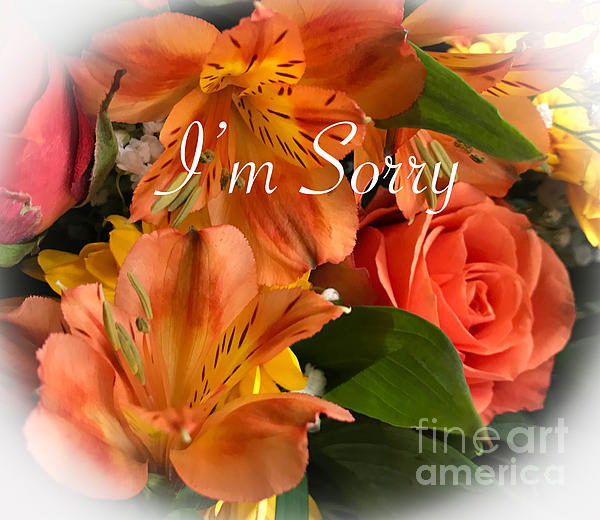 judecreek2's tweet photo. New artwork for sale! - "Sorry" - https://t.co/5TmDJQ52OU @fineartamerica https://t.co/83OkM7fRRc