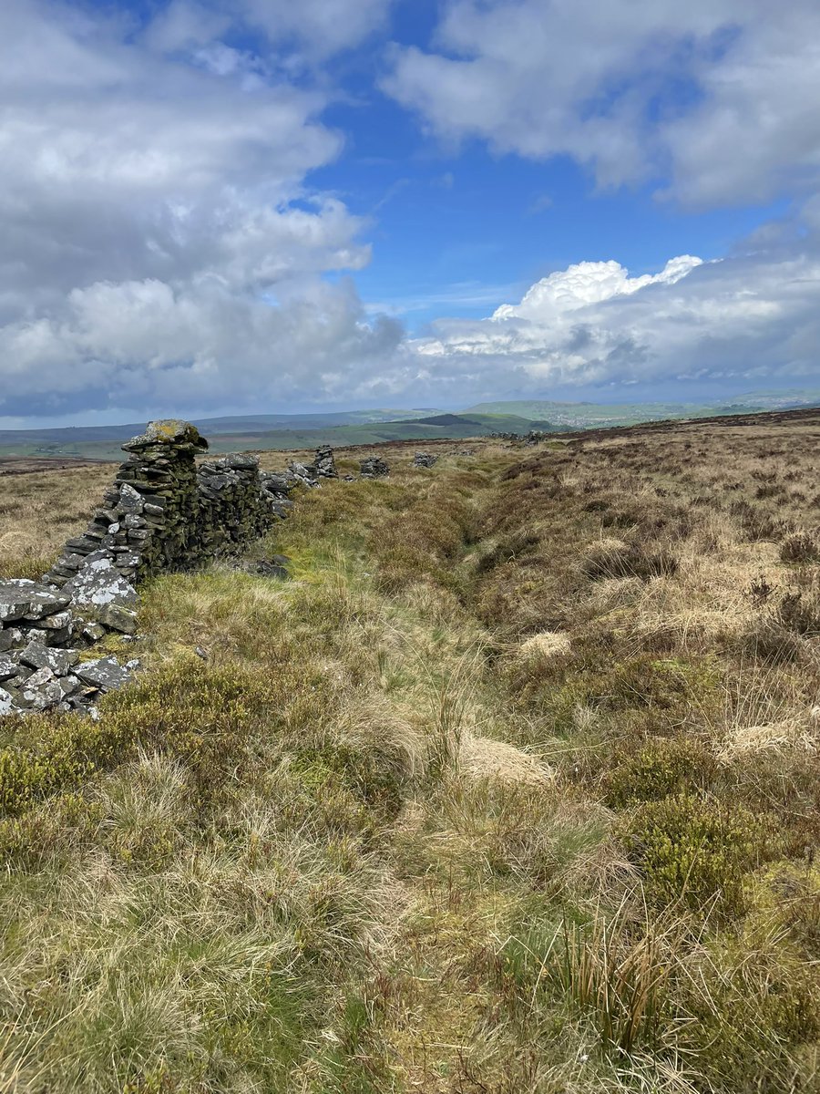ben194's tweet photo. Nice day for a bit nav practice doing the @Explorer_Events anytime event at combs nice to see a few curlews out on my run #peakeaid #peakdistrict #combs https://t.co/fKnURlzoct