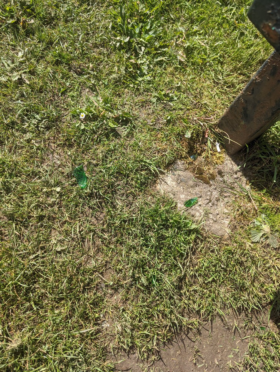 phil_miller87's tweet photo. @RCTCouncil can we get someone to mount pleasant park to clean up the glass in the kids park and skate park. So much buried into the grass some is difficult to see. Someone is going to get hurt @BeddauPact https://t.co/q7OToPGL5r