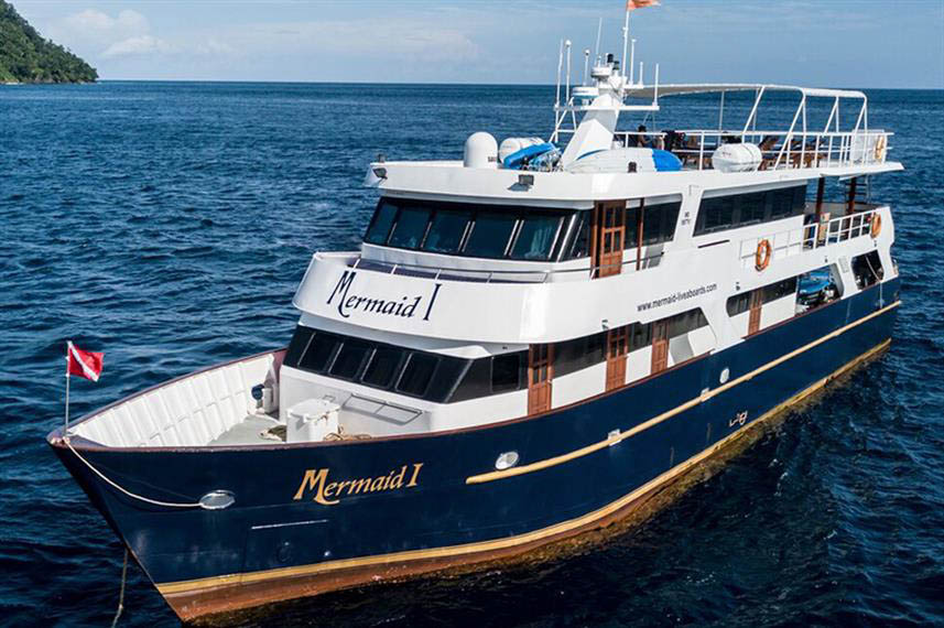 DivingRegister's tweet image. Mermaid I dlvr.it/SnqZ3P