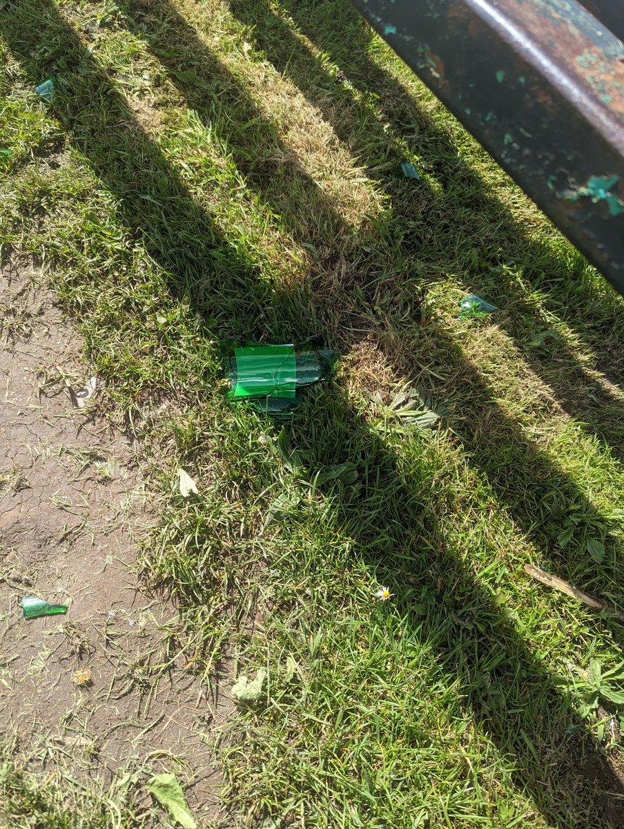 phil_miller87's tweet photo. @RCTCouncil can we get someone to mount pleasant park to clean up the glass in the kids park and skate park. So much buried into the grass some is difficult to see. Someone is going to get hurt @BeddauPact https://t.co/q7OToPGL5r