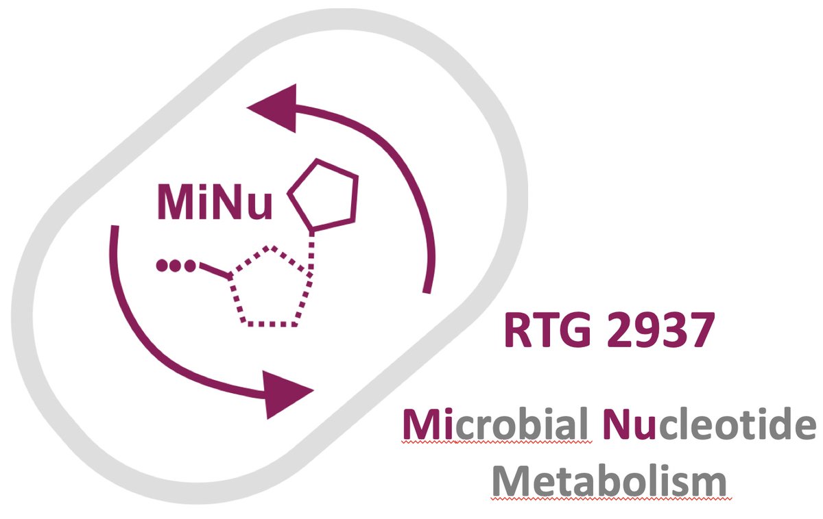 We have got funding for a new DFG-funded Graduate School 'Microbial Nucleotide Metabolism', starting in October. Looking for 11 motivated PhD students and a postdoc.