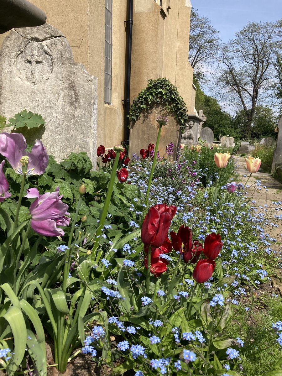 StMarysE17's tweet image. While the Chelsea Flower Show takes place, @ChelseaFringe events will be held around London, including in St Mary’s Churchyard on Saturday 27 May, 11am to 2pm. Join Head Gardener Tim Hewitt on free guided tours of the churchyard at 11am, 12pm &amp;amp; 1pm. No need to book, just turn up!