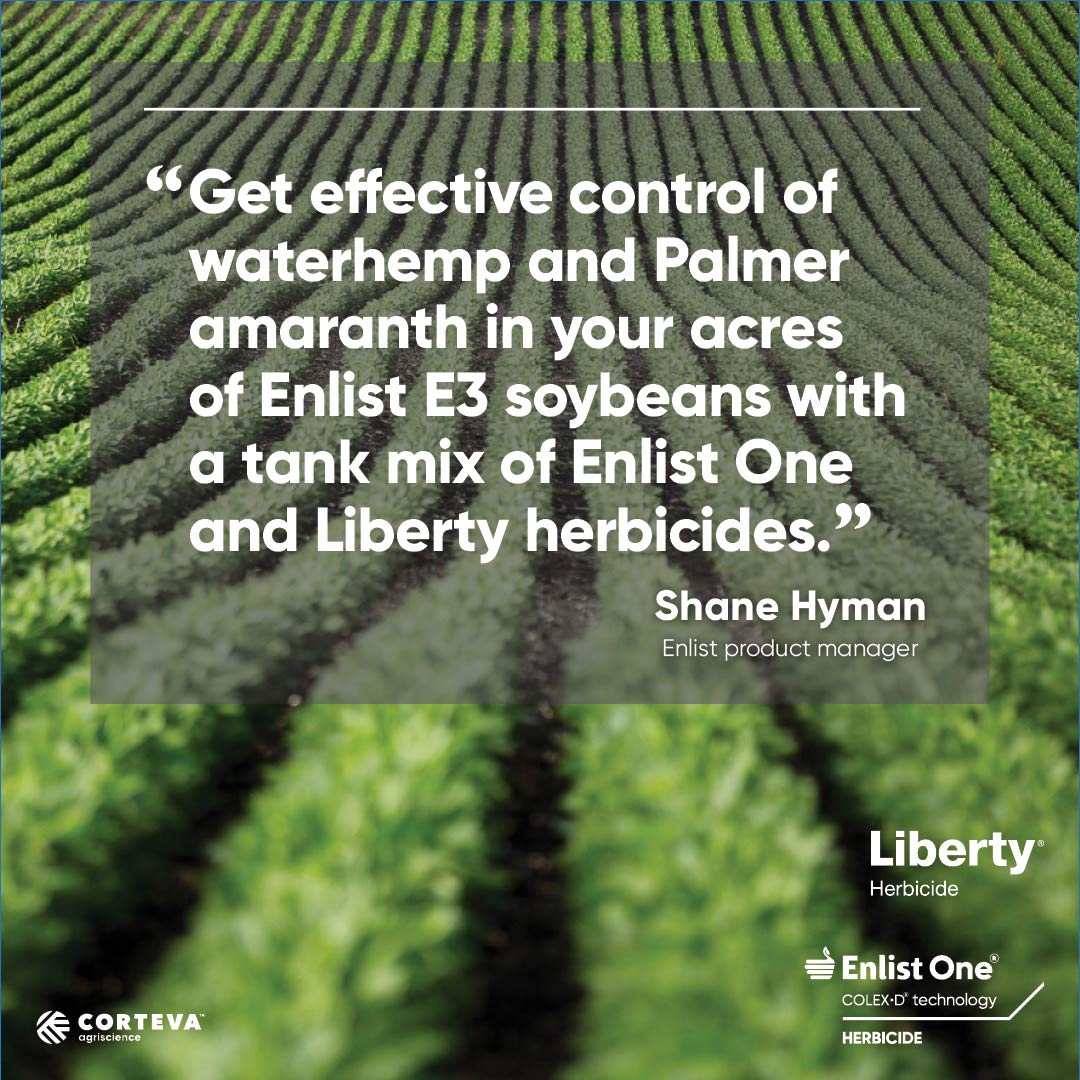 CortevaUS's tweet photo. With #EnlistE3 soybeans, you have more flexibility and options to stay ahead of problem weeds. Listen in on this @Brownfield #ManagingForProfit episode to learn why a tank mix of #EnlistOne and #Liberty herbicides may be key to keeping these weeds at bay. https://t.co/b3MCS07Skj https://t.co/bTxeB8fJDb