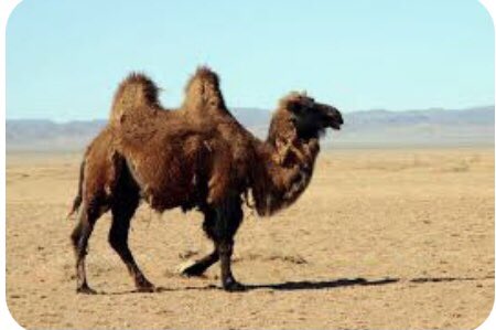 Eposmail's tweet image. Oggi in #Veneto per #colpa del  #CambiamentoClimatico siamo in queste #condizioni ...me lo diceva mia #bisnonna ..#CambioClima