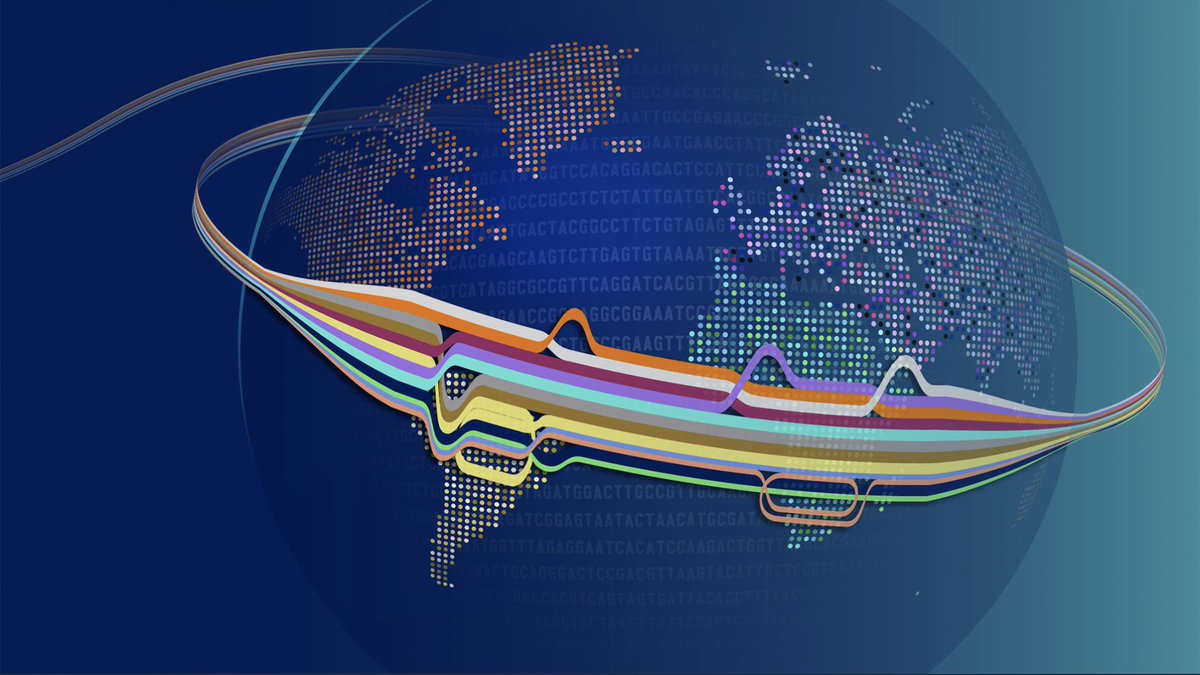 Researchers from the @genome_gov-funded Human Pangenome Reference Consortium (@HumanPangenome) have completed a collection of new human reference genome sequences that much more accurately reflect global diversity! genome.gov/pangenome