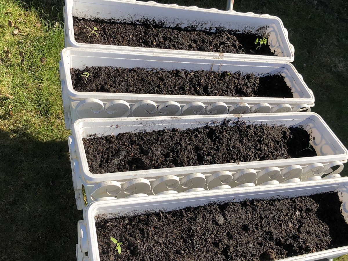 Creativeemaster's tweet image. 