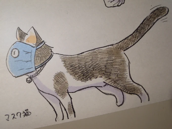 マスク猫
