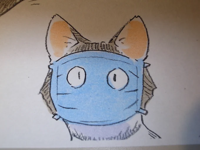 マスク猫