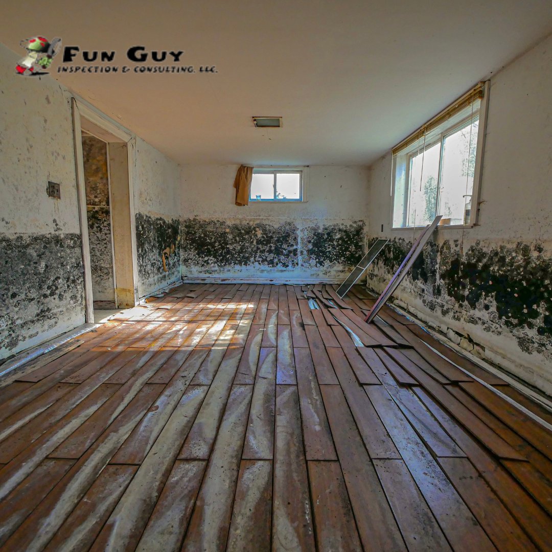 Inspect4molD's tweet photo. Interesting Facts: Molds are the only organisms that don’t need light to grow; dark and wet areas are enough for them to grow and spread.
 
Fun Guy Inspection &amp; Consulting LLC is here to help you!

#mold #blackmold #FunGuyInspections #moldservices #MoldExpert #MoldTrivia https://t.co/6MwSVVlulc