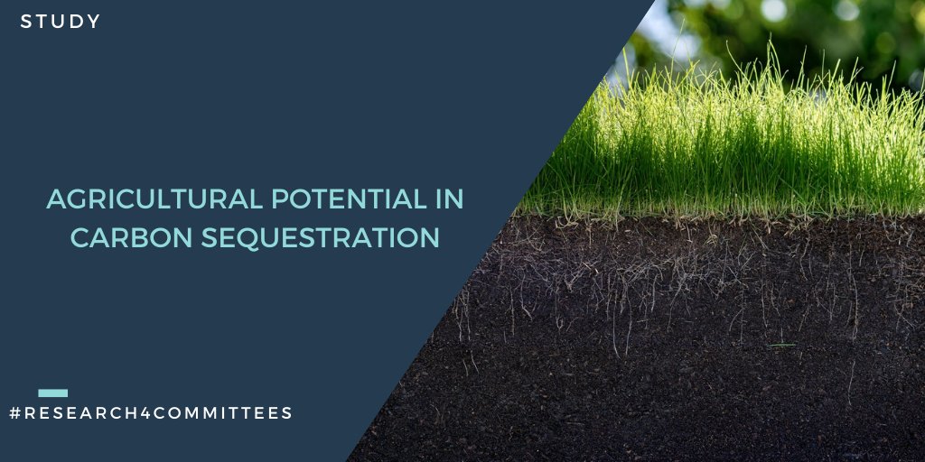 More than 55% of the climate mitigation potential in the EU27 agricultural sector lies with agricultural soils &amp; manure management. Stimulating carbon sequestration in soil is necessary to meet the #GreenDeal’s objectives:
bit.ly/3HJBL3N
#EUGreenWeek
#Research4Committees
