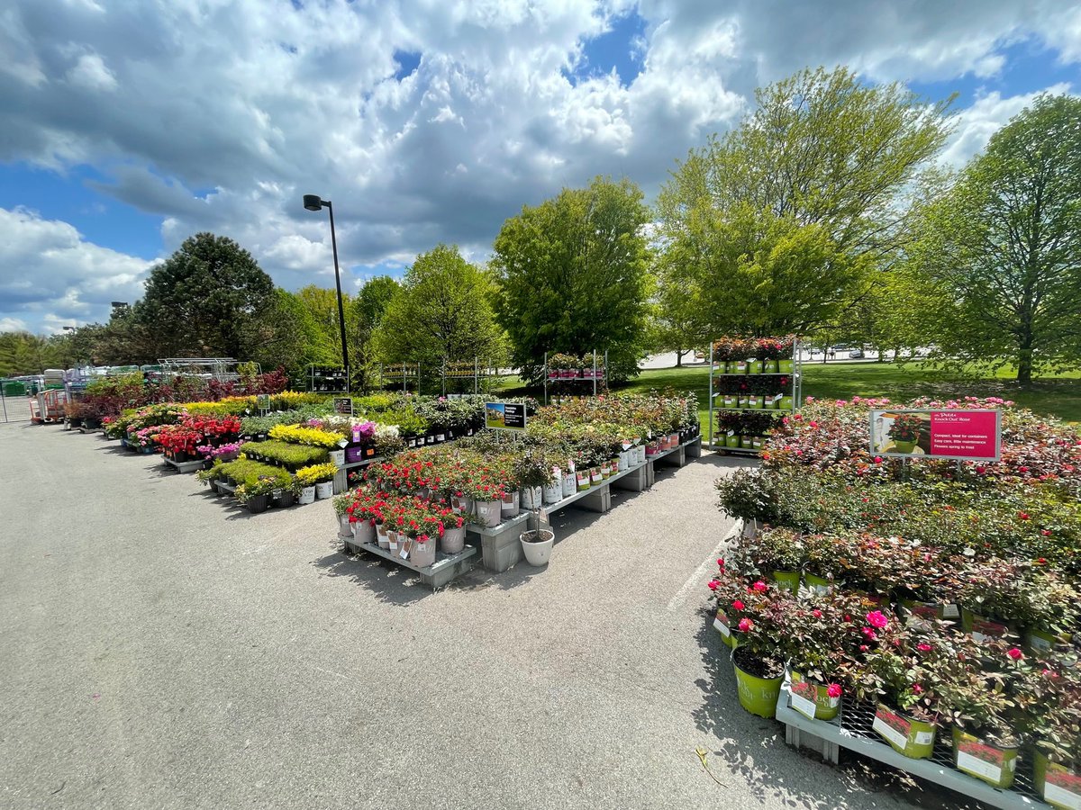 Stinchcomb Nursery Service tweet media