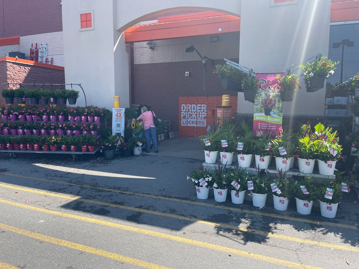 Stinchcomb Nursery Service tweet media