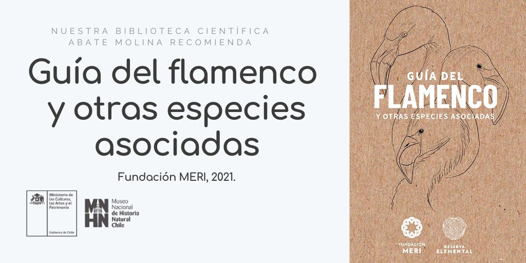 📚 Nuestra Biblioteca Científica recomienda esta semana el libro “Guía del flamenco 🦩y otras especies asociadas” publicado en 2021 por la <a href="/FundacionMERI/">Fundación MERI</a>, con textos de Carolina Yáñez e ilustraciones de Catalina Hildebrandt.    
Acá descargan el libro 👉🏻 bit.ly/42qxnzW