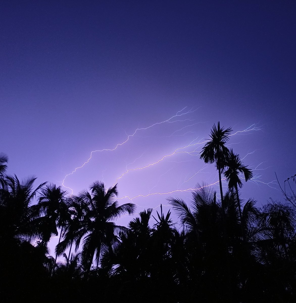 only_fo_r_you's tweet image. Finally... First rain of the season.. and... ⚡⚡
#FirstRain