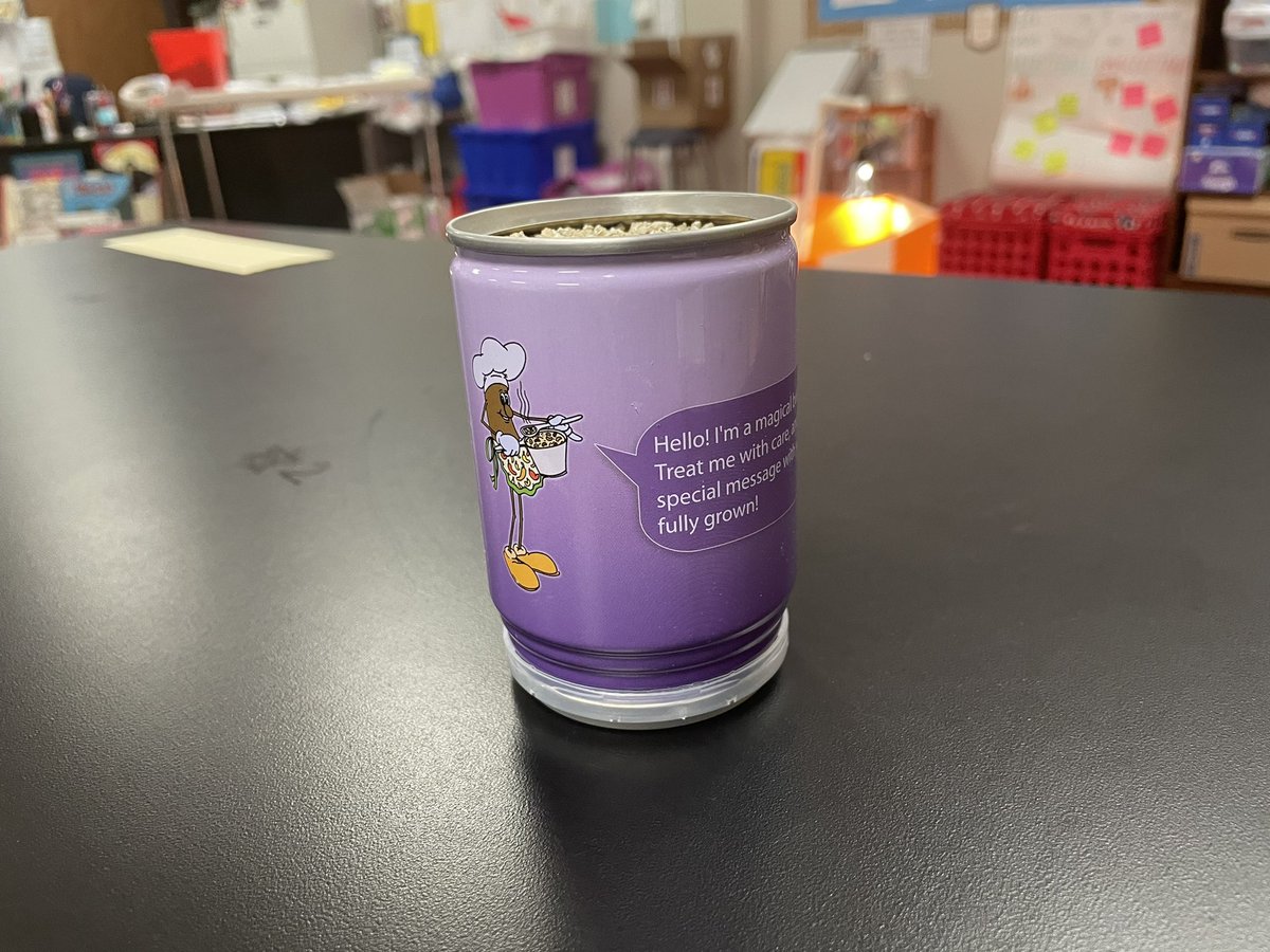 RituGan23514369's tweet photo. @PISDScienceK_4 @RituGan23514369 Kinder scientists sequencing the life cycle of a plant. They also got to take their own “Magic bean plant”! 🪴 #MoralesScienceLab #MoralesRockets https://t.co/Wjx1lfWfVi