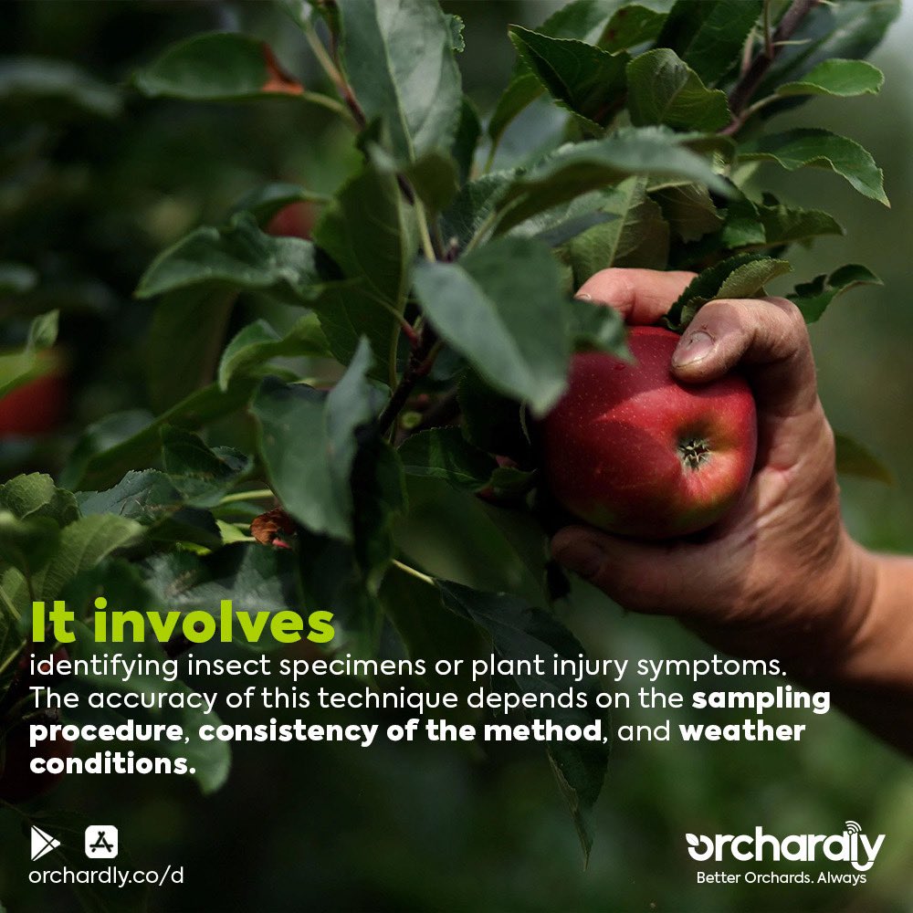 OrchardlyApp's tweet photo. Scouting is one of the most cost-effective and eco-friendly methods for estimating pests and suppressing them using appropriate management techniques in our orchards. #orchardlyapp #growertips https://t.co/6I9zoPQHrX