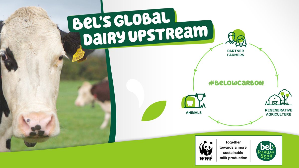 Engaged for a more #sustainable upstream dairy farming for a #ForAllGood! 🧀🌳🍎

Today, we are renewing our #UpstreamDairyCharter with @WWFFrance and our 1,200 dairy farmer partners to continue engaging the sector in the #FoodTransition 👇

groupe-bel.com/wp-content/upl…