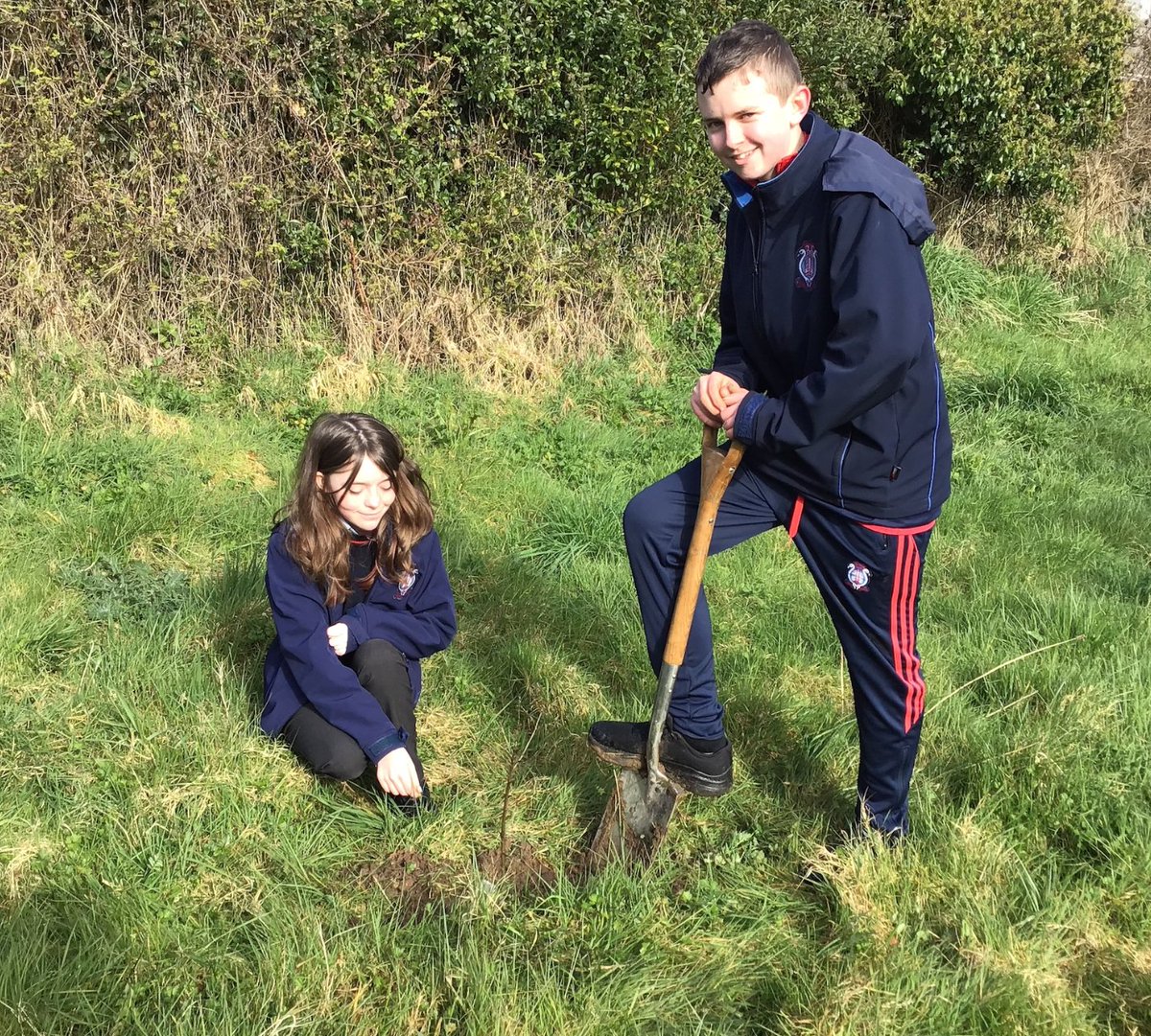 Busy at work planting our trees today for May Day.
<a href="/Take1_Programme/">Take 1 Programme</a> <a href="/ETBIreland/">ETBI</a> <a href="/lw_etb/">Longford & Westmeath ETB</a>  
#etb_sdgs #take1programme #maydayforsustainability #Sustainability