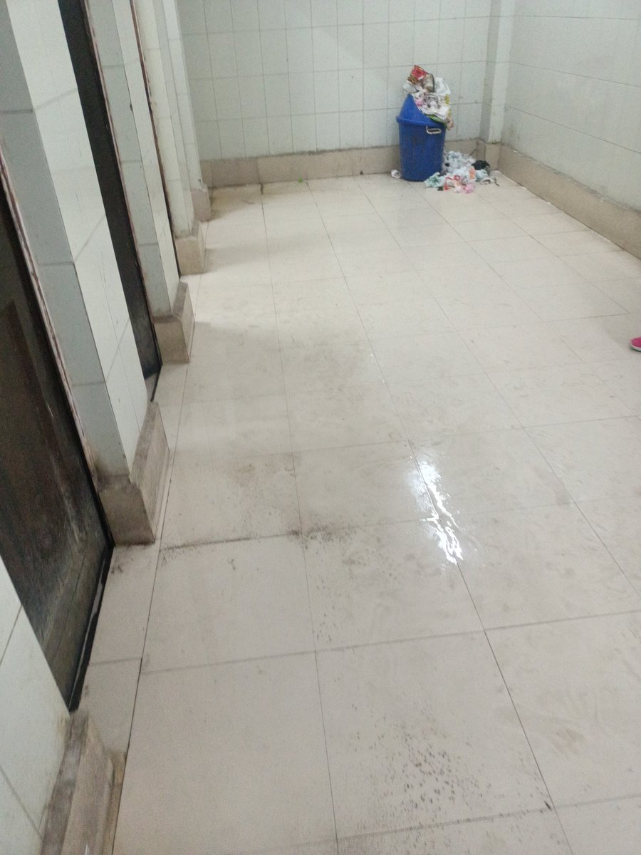 sarcasm girl tweet media