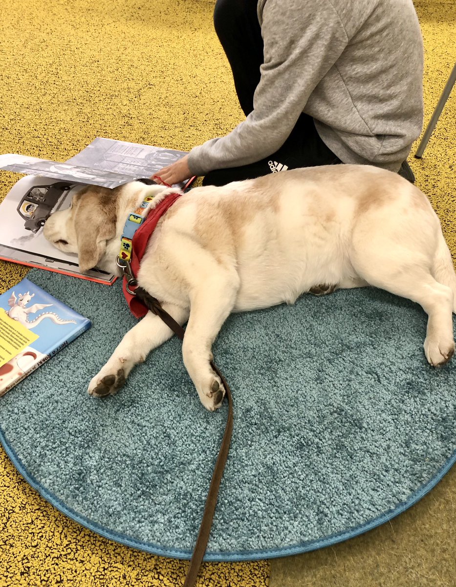 Beagletytöt Hippu&Myttö tweet media