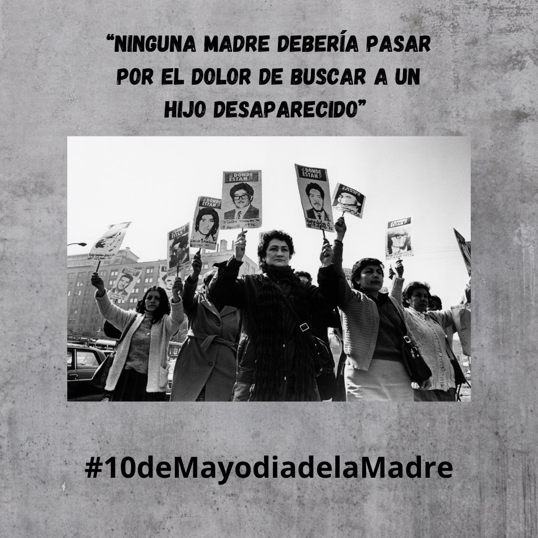 Daniela Millaleo (@danielamillaleo) on Twitter photo 